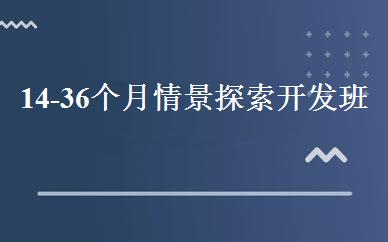 14-36个月情景探索开发班 