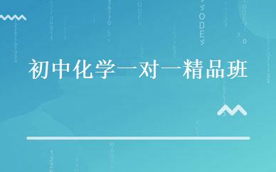 初中化学一对一精品班 