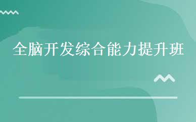 全脑开发综合能力提升班 
