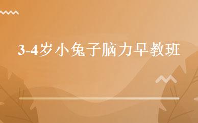 3-4岁小兔子脑力早教班 