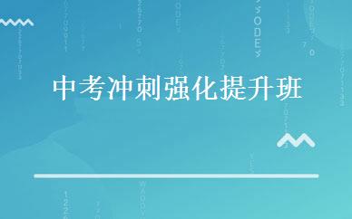 中考冲刺强化提升班 