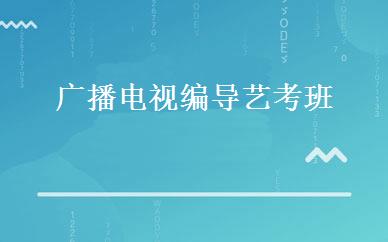 广播电视编导艺考班 