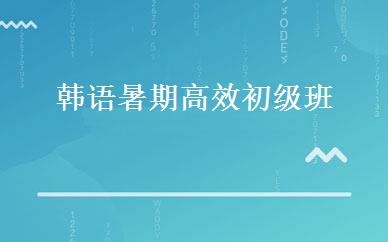 韩语暑期高效初级班 