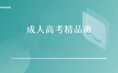 成人高考精品班 