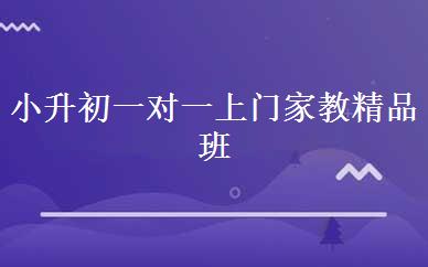小升初一对一上门家教精品班 