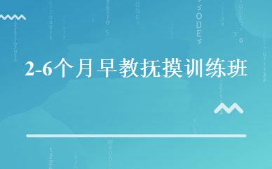 2-6个月早教抚摸训练班 