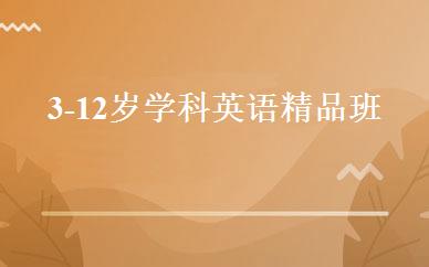 3-12岁学科英语精品班 