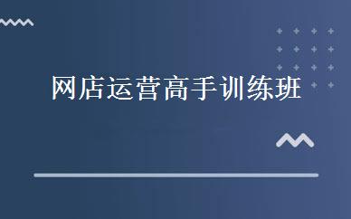 网店运营高手训练班 