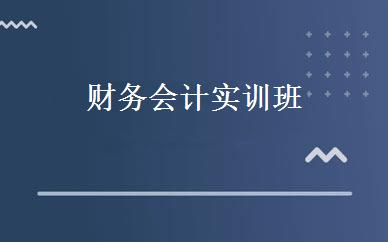 财务会计实训班 