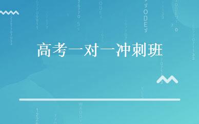 高考一对一冲刺班 