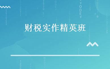 财税实作精英班 