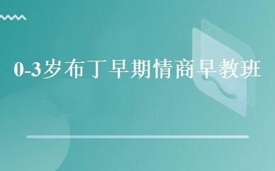 0-3岁布丁早期情商早教班 