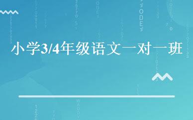 小学3/4年级语文一对一班 