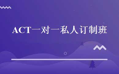 ACT一对一私人订制班 