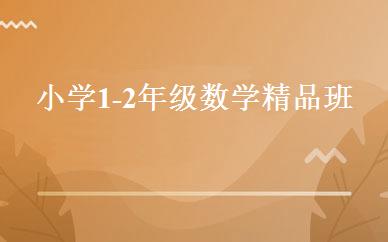 小学1-2年级数学精品班 