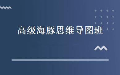 高级海豚思维导图班 