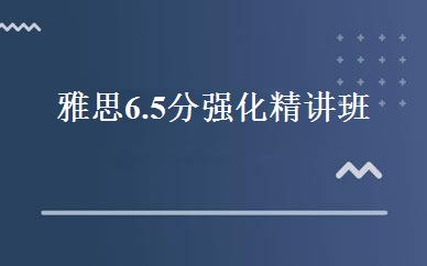 雅思6.5分强化精讲班 