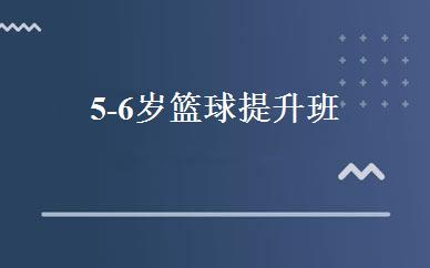 5-6岁篮球提升班 