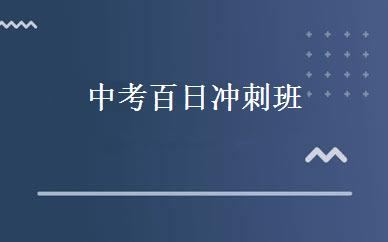 中考百日冲刺班 