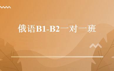 俄语B1-B2一对一班 