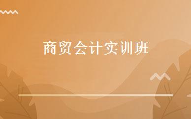 商贸会计实训班 