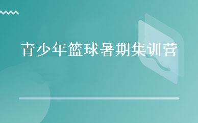 青少年篮球暑期集训营 