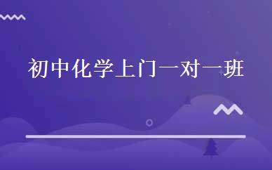 初中化学上门一对一班 