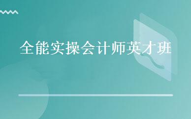 全能实操会计师英才班 