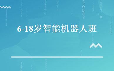 6-18岁智能机器人班 
