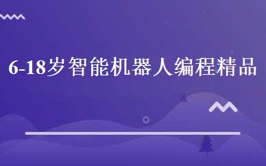 6-18岁智能机器人编程精品班 