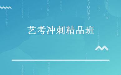 艺考冲刺精品班 