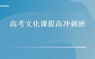 高考文化课提高冲刺班 