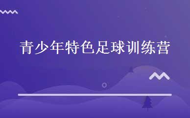 青少年特色足球训练营 
