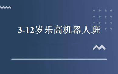 3-12岁乐高机器人班 