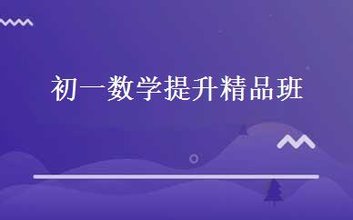 初一数学提升精品班 