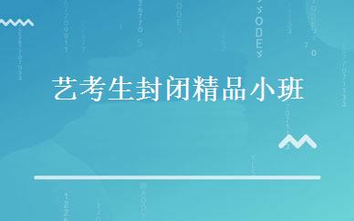 艺考生封闭精品小班   