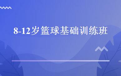 8-12岁篮球基础训练班 