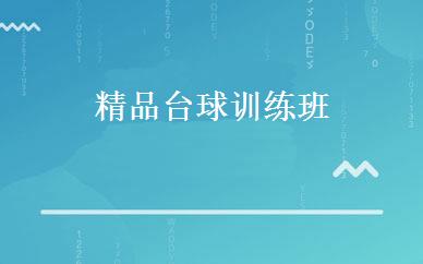 精品台球训练班 