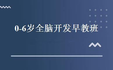 0-6岁全脑开发早教班 