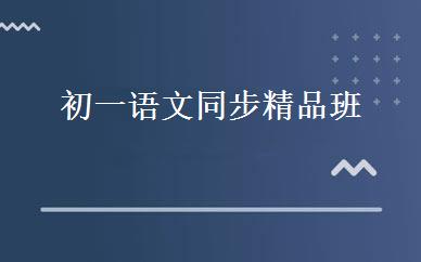 初一语文同步精品班 