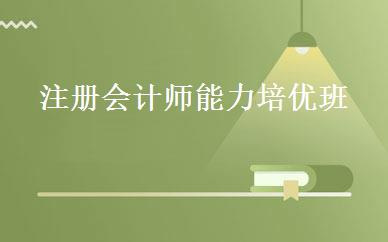 注册会计师能力培优班 