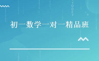初一数学一对一精品班