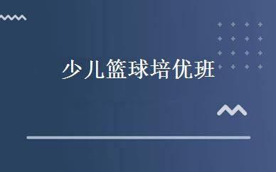 少儿篮球培优班 