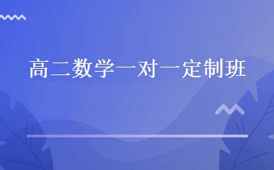 高二数学一对一定制班 
