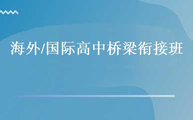海外/国际高中桥梁衔接班 
