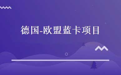 德国-欧盟蓝卡项目 
