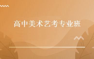 高中美术艺考专业班 