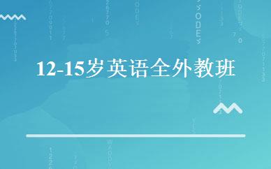 12-15岁英语全外教班 