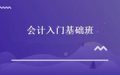 会计入门基础班 