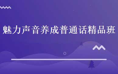 魅力声音养成普通话精品班 